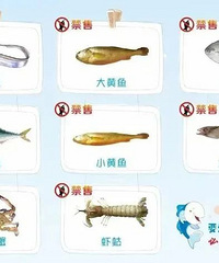 5��8���𣬽�ֹ���ۣ��漰8�ֺ���