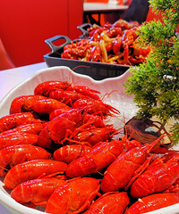 �������ʲô����ҹ����Ϻ���������Ϻ