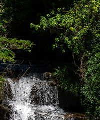 ��ɽ��һ��
