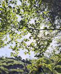 ���鲻�㣬һ��ɹ��