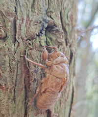 ���鲻�㣬һ��ɹ��