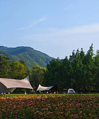 ��ת�����ˣ�ȫ��Ӱ���㽭���������̨���˷���ע��