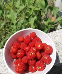 �������ʲô�����ڱر������ǽ�ɶ��