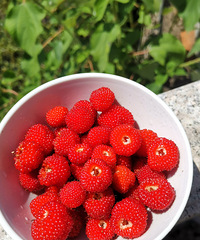 �������ʲô�����ڱر������ǽ�ɶ��