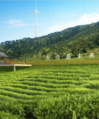 ����Χ�ۣ�������š���ɫ���顱��������Ч��ͼ������