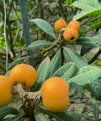 ����13ʱ57�֣�̨����ʽ���롭��