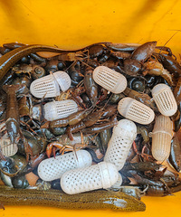 ���۸��᡿�ж�����ʶ���ģ���ֳ�������������������ó�