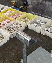 ����󣬽�ֹ���ۣ�