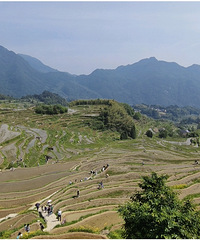 �ӹ��߻��絽�ƺ����һ��ɽˮ�������ʫ��֮��