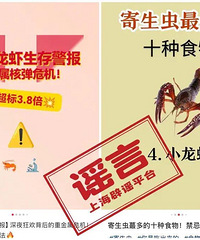 С��Ϻ��άCͬʳ���ڳ���˪���ٵģ�������ҥ