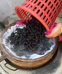 ɣ��̫���ˣ��Բ�������ɣ�ظ���ˮ��