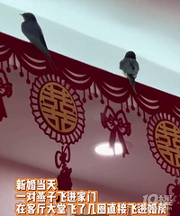 �»鵱�����ӷ���鷿����������ף����