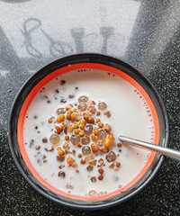 �������ʲô���̶�����¶