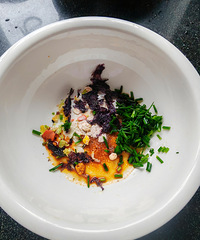 �������ʲô��������