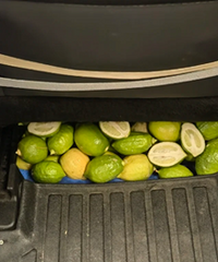 �ĸ���Ը����������Լ����˭�����ֽ���