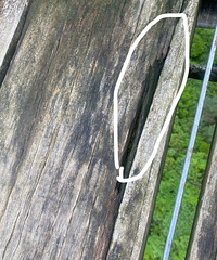 �йز����������Ӱɣ�ľͷһ����Ȼ���ˣ����°�����Ԩ