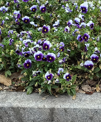 88���У�����ƫ���죬������̨�����ܣ�ԭ���ϲ��ں�������