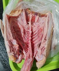 Ѽ�Ӷ��Ӻܴ��л�ˮ���ܳ��������Լ�����������