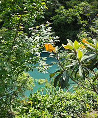 ������̨�ݽ�����ʽ���롭��