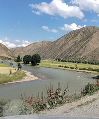 318�ϵĵ�ɫ��