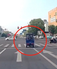 ����Ʋ�����ԥ��