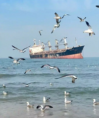 ��2025�μǡ�����ȥɽ�����������Ļ��ĺ���ӵ