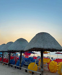 ��2025�μǡ�����ȥɽ�����������Ļ��ĺ���ӵ