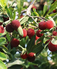 ��ð�䡰�ɾ���÷����¶ͷ�ʹ�