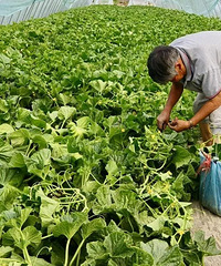 �㽭ʡ���������š����ز���������̨����Щ���ز��ϰ�