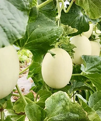 �㽭ʡ���������š����ز���������̨����Щ���ز��ϰ�