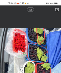 ��ɫ����ɣ�أ����֪�������ɫ��̨�ݷ��Խ�ʲô��