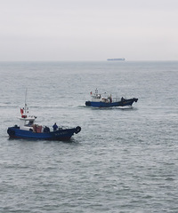 [��ɫ]�������������Ĵ���������Ľ�ʯ