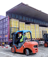 �����״���˳���ִ