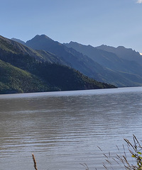 Զ���ں������������ͱ���