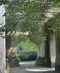 ����������꣬������¿ɴ�33��