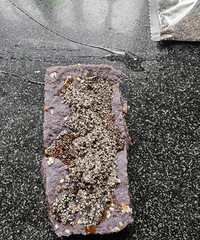 �������ʲô���ڷ�����