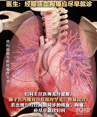 Ů�����ڿ�Ѫ����ӹ���Ĥ�ӵ��β�