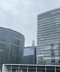 �޶�����ղ�������Ա�س�