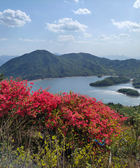 ������·�Լ���