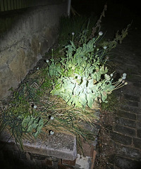 �࿴�����ۣ����ϱ�������̨3����С���硱������