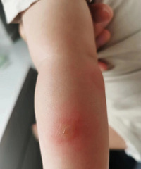 ���������Ҳ̫���˰ɣ����Ӷ�ҧ֮����ô����