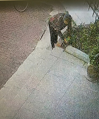 �ſڵĻ�ÿ������û��þ�½½����������͵