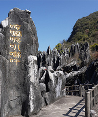 ������ʯ�֣���Щ��ɫʯͷ�����ﾹ�������