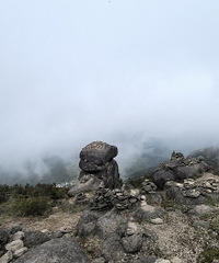 ̨��С����