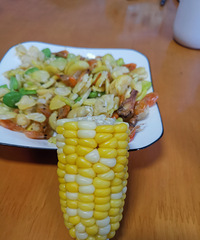 �������ʲô�������緹