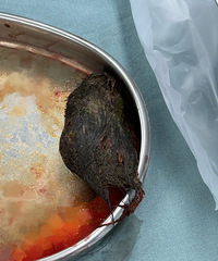 10��Ů��ȷ�ﺱ������̨��Ҳ�в���