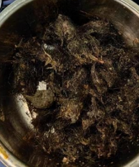 10��Ů��ȷ�ﺱ������̨��Ҳ�в���