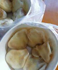 �������ʲô������С����