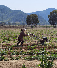 4�³���ĳ����ĩ����Լ80����