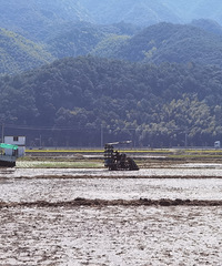 4�³���ĳ����ĩ����Լ80����